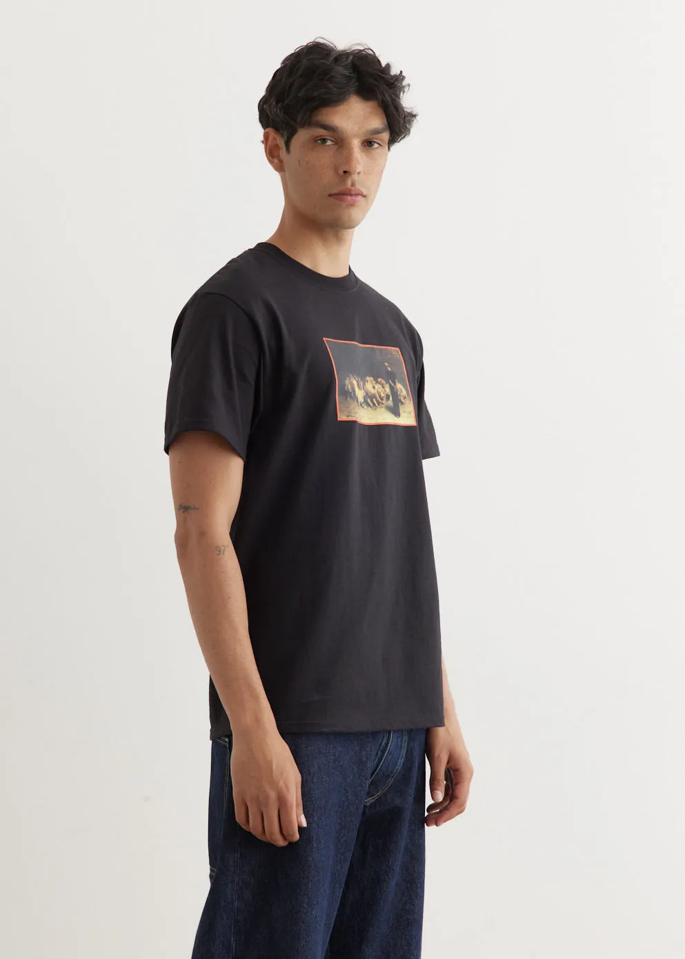 Daniel In The Lions Den T-Shirt