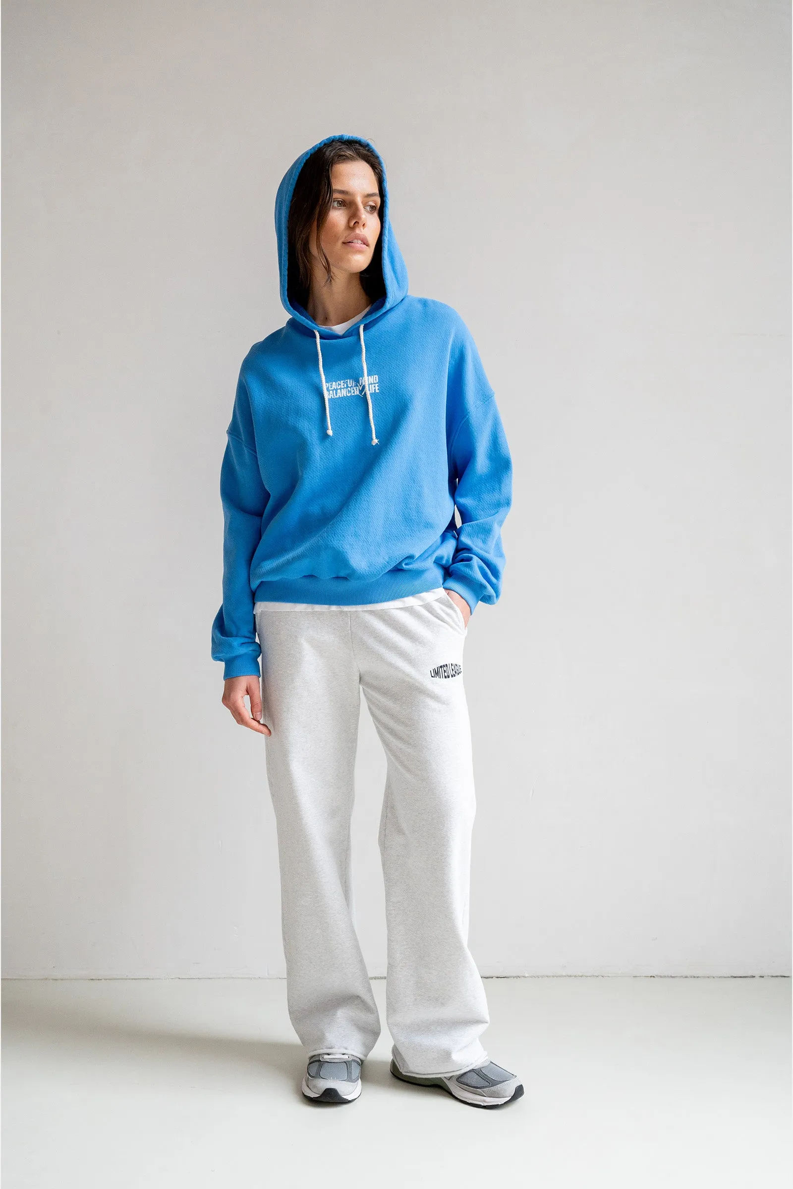 HOODIE PRINT (S25T1174LTD) SURF - WHITE