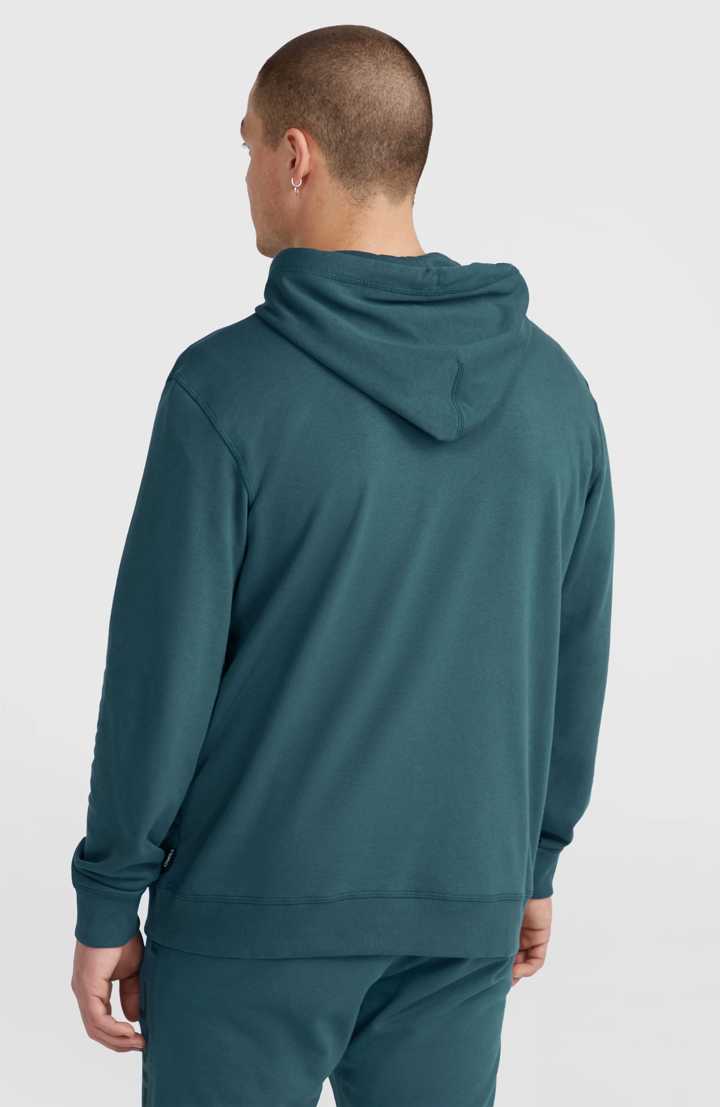 Logo Hoodie | Alma Steel