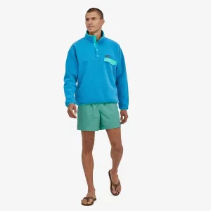 Patagonia Baggies 5 Shorts